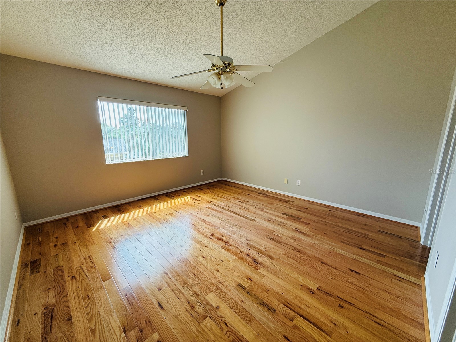 2843 Thaxton Drive #38 Palm Harbor FL 34684 TB8504234 image22