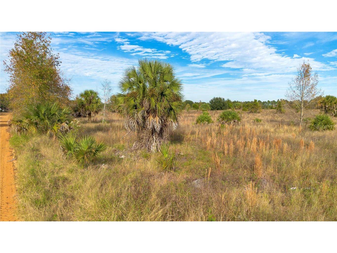 28432 S Eichelberger Road Tavares FL 32778 O6161840 image2