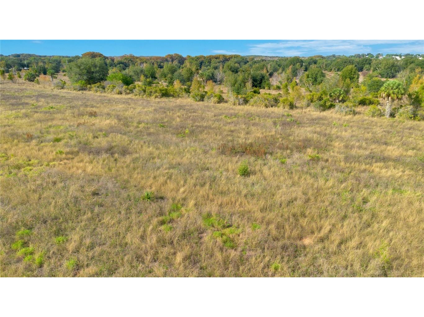 28432 S Eichelberger Road Tavares FL 32778 O6161840 image3