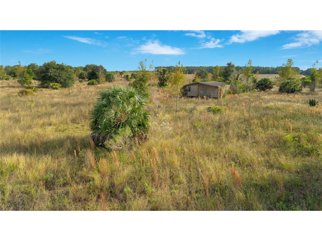 28432 S Eichelberger Road Tavares FL 32778 O6161840 image4