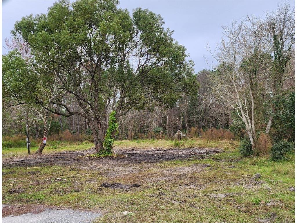 28438 Hibiscus Avenue Paisley FL 32767 V4934155 image1