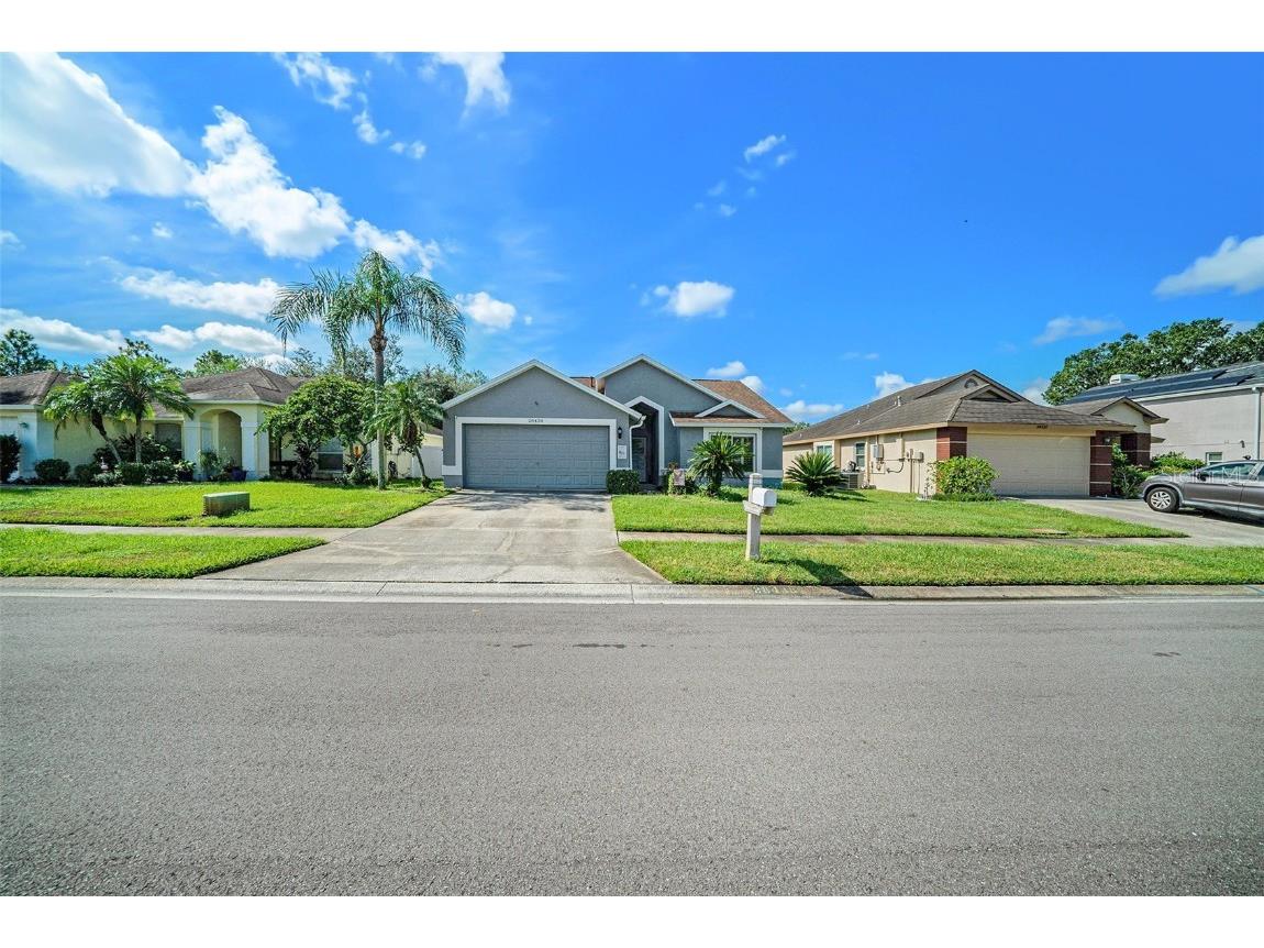 28438 Tall Grass Drive Wesley Chapel FL 33543 TB8433550 image1
