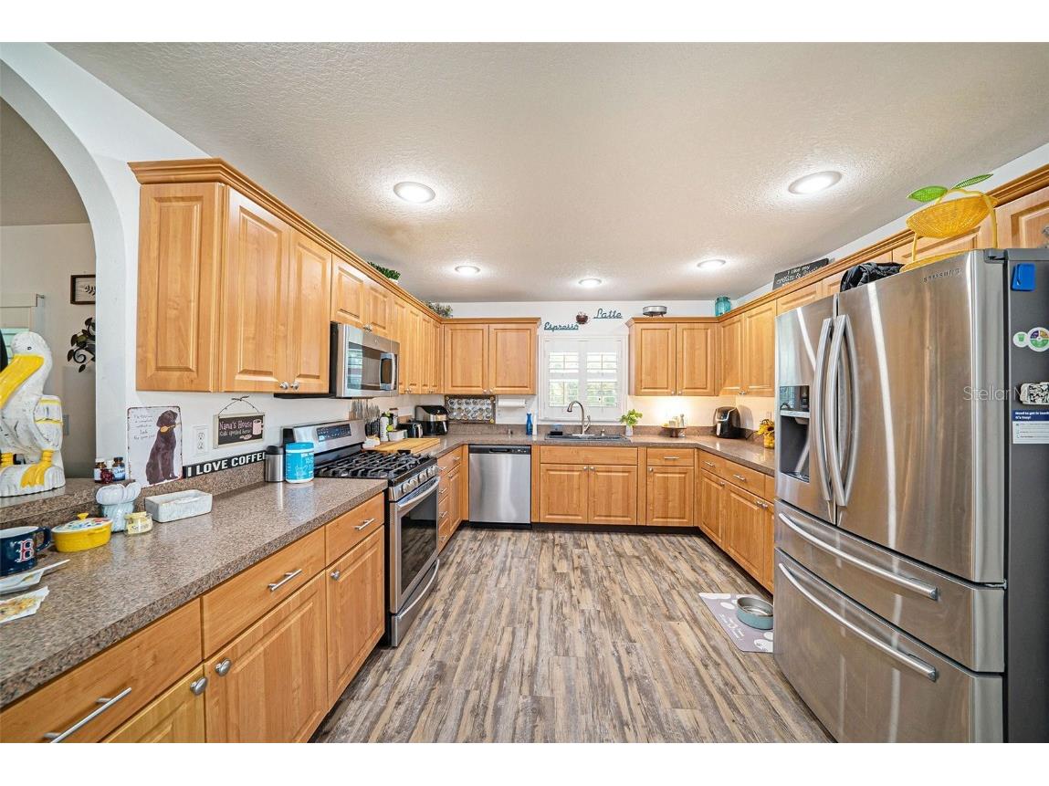 28438 Tall Grass Drive Wesley Chapel FL 33543 TB8433550 image14