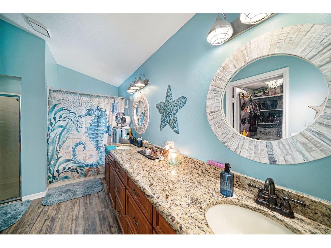 28438 Tall Grass Drive Wesley Chapel FL 33543 TB8433550 image17