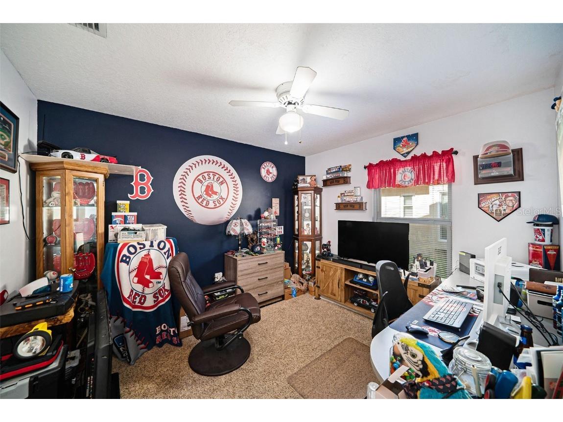 28438 Tall Grass Drive Wesley Chapel FL 33543 TB8433550 image21