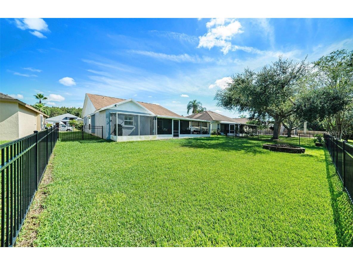 28438 Tall Grass Drive Wesley Chapel FL 33543 TB8433550 image27