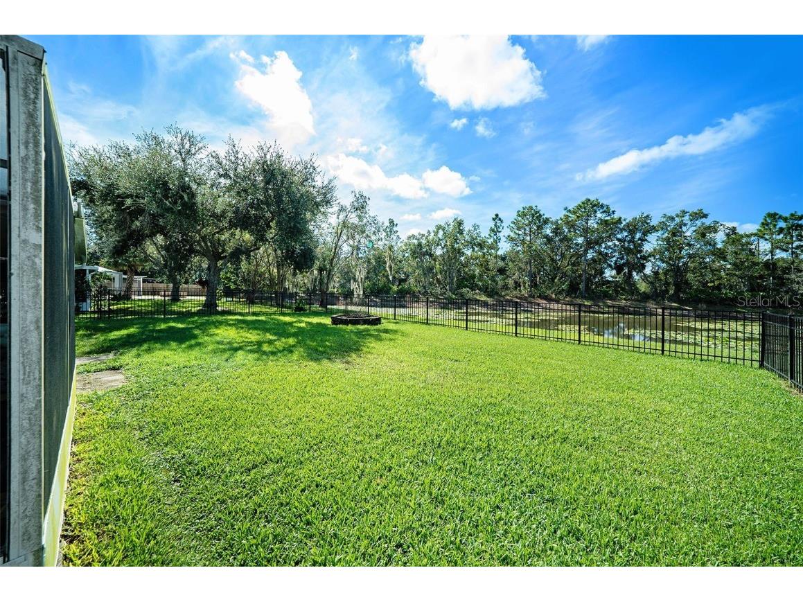 28438 Tall Grass Drive Wesley Chapel FL 33543 TB8433550 image28