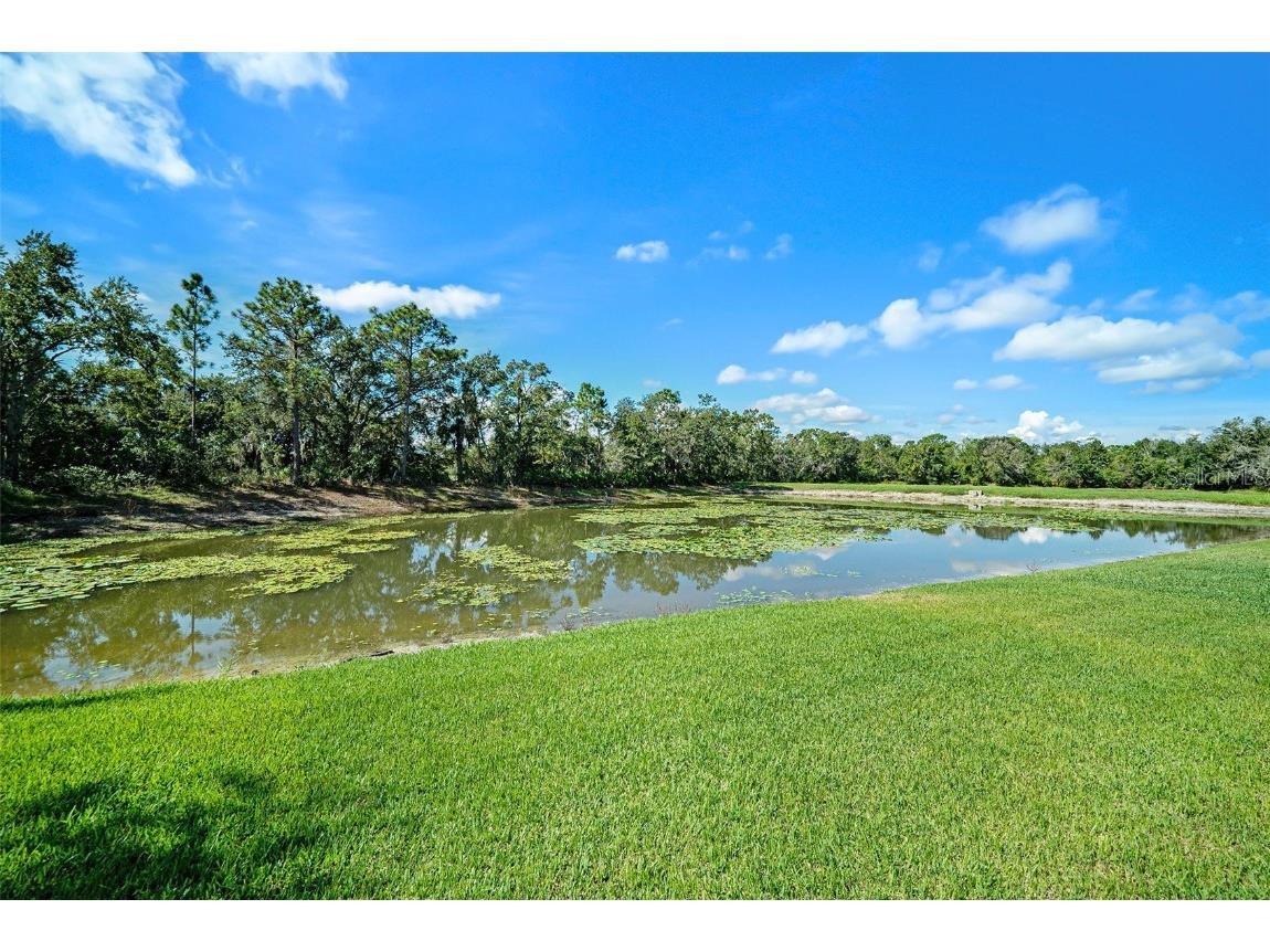 28438 Tall Grass Drive Wesley Chapel FL 33543 TB8433550 image29