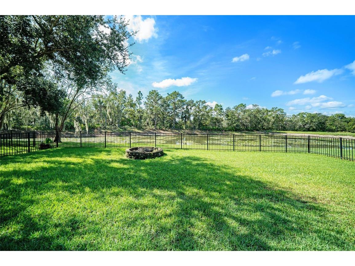 28438 Tall Grass Drive Wesley Chapel FL 33543 TB8433550 image3