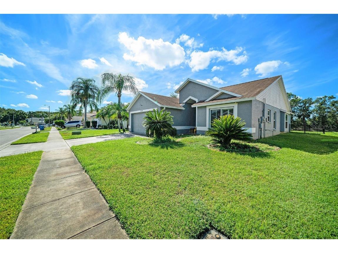 28438 Tall Grass Drive Wesley Chapel FL 33543 TB8433550 image4