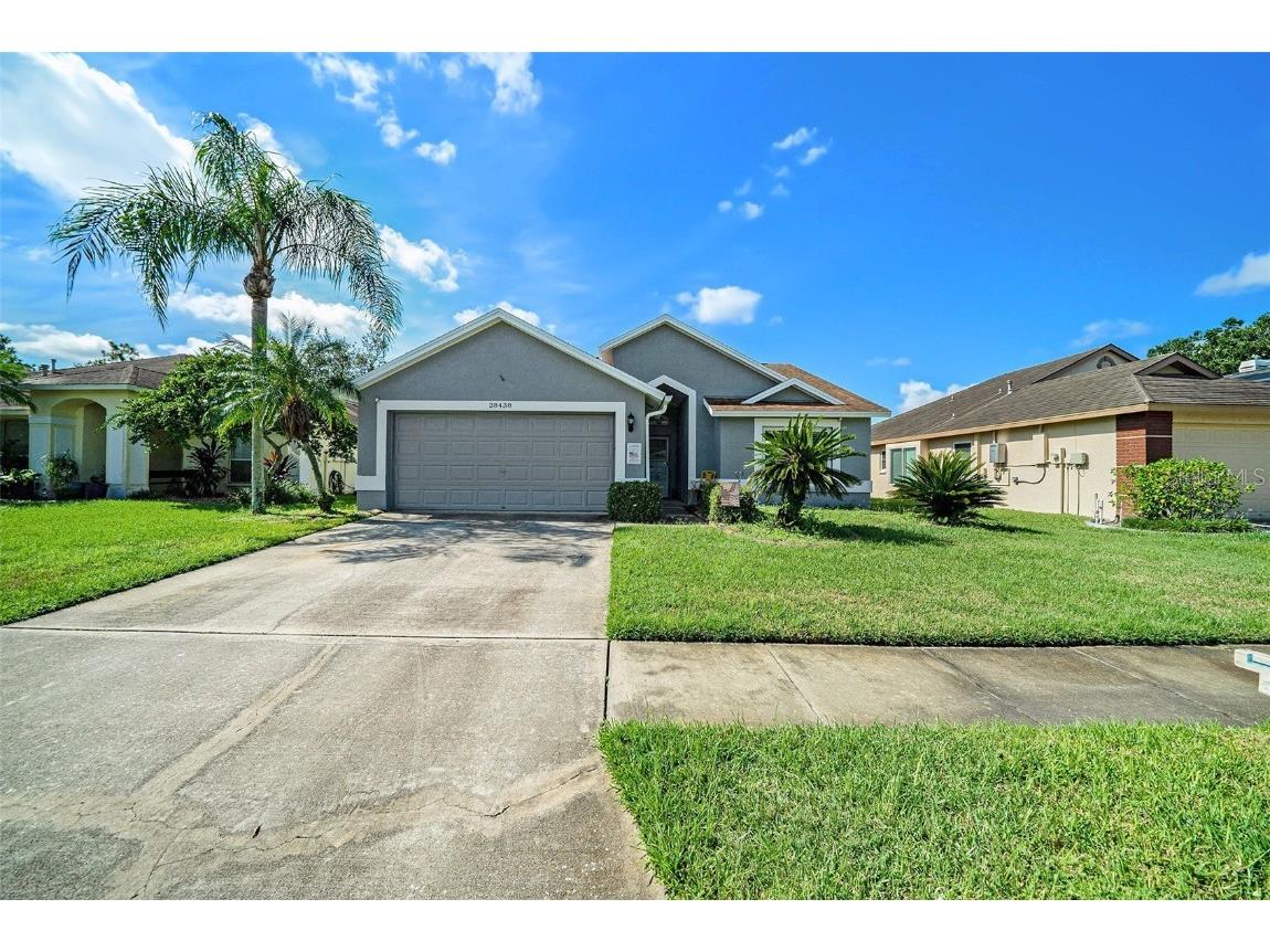 28438 Tall Grass Drive Wesley Chapel FL 33543 TB8433550 image5