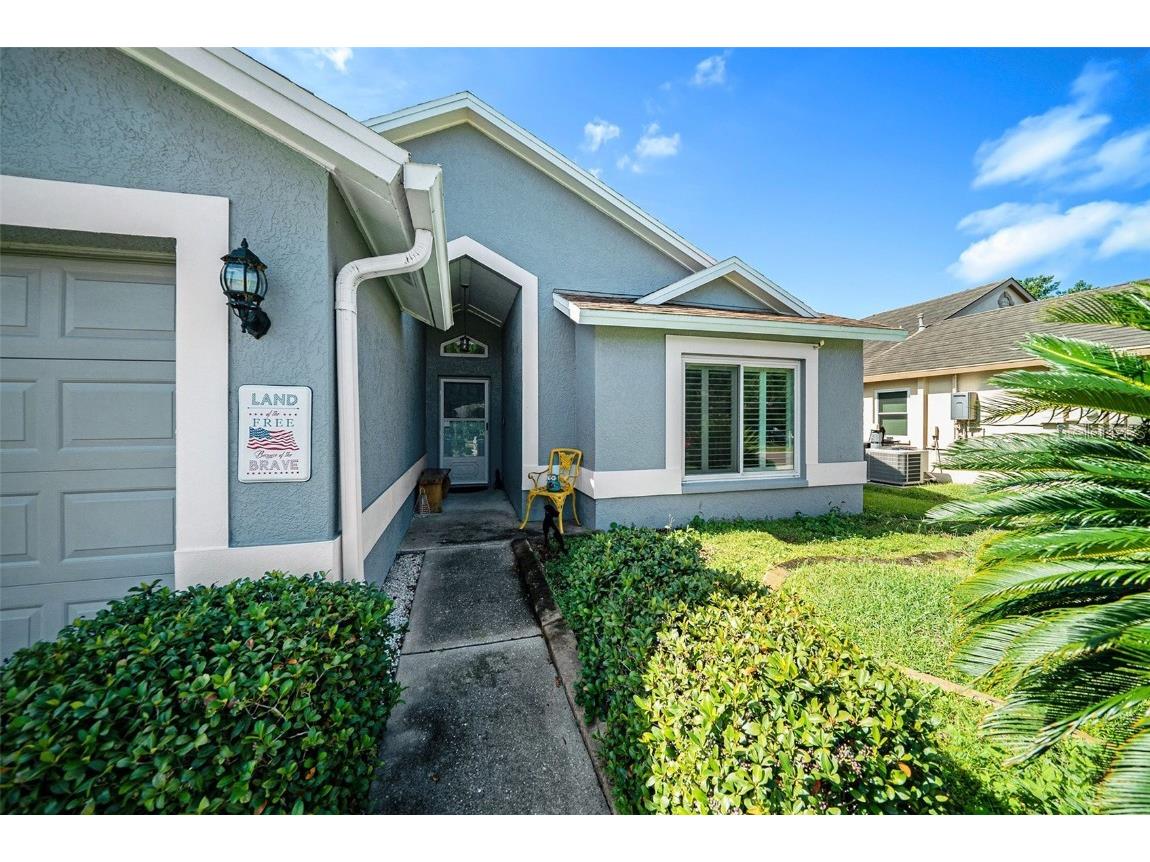 28438 Tall Grass Drive Wesley Chapel FL 33543 TB8433550 image6