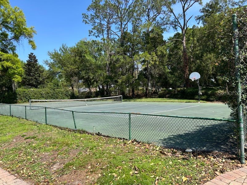 2844 Midsummer Drive Windermere FL 34786 O6371115 image11