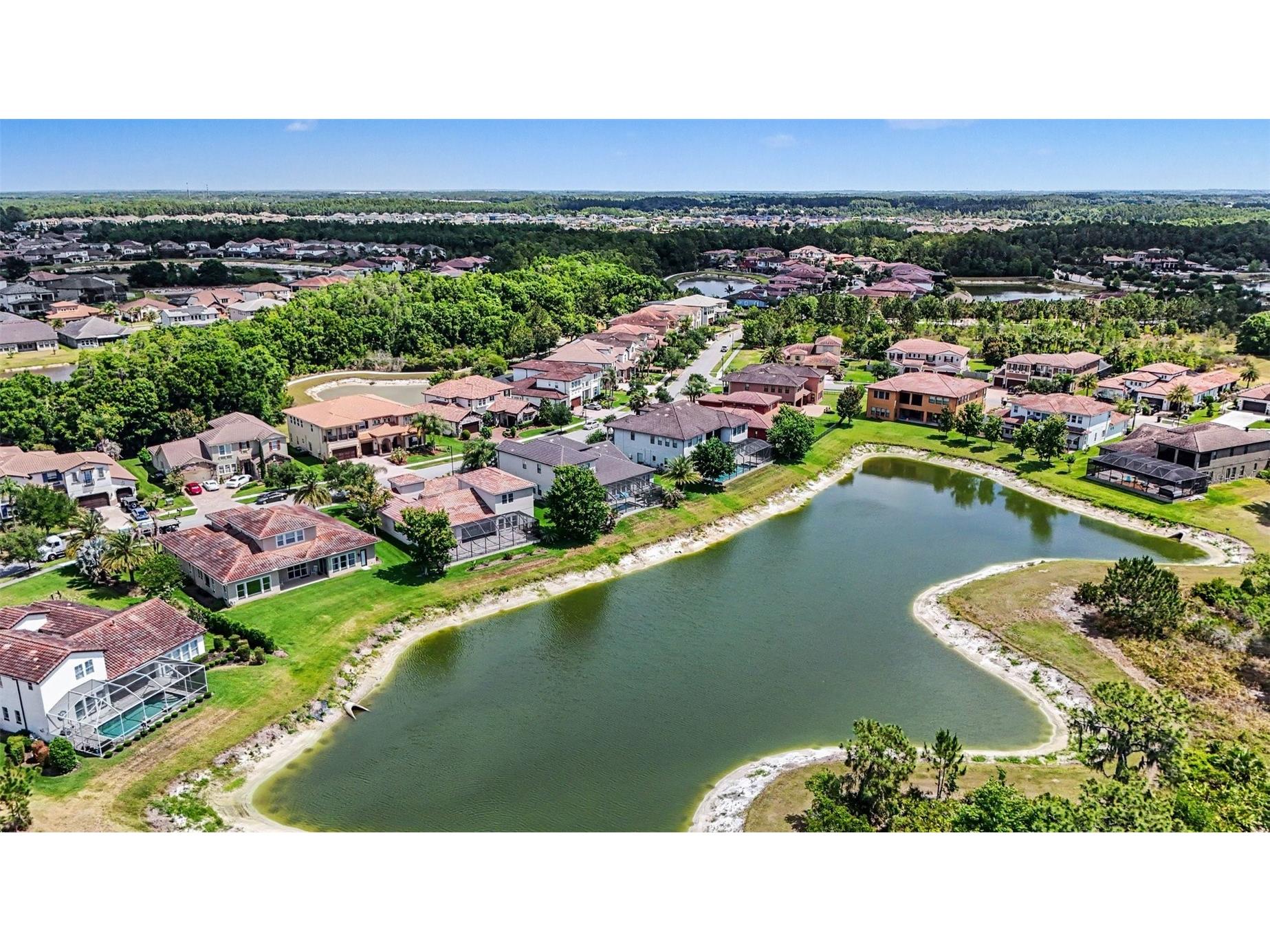 28446 Corbara Place Wesley Chapel FL 33543 TB8508626 image52