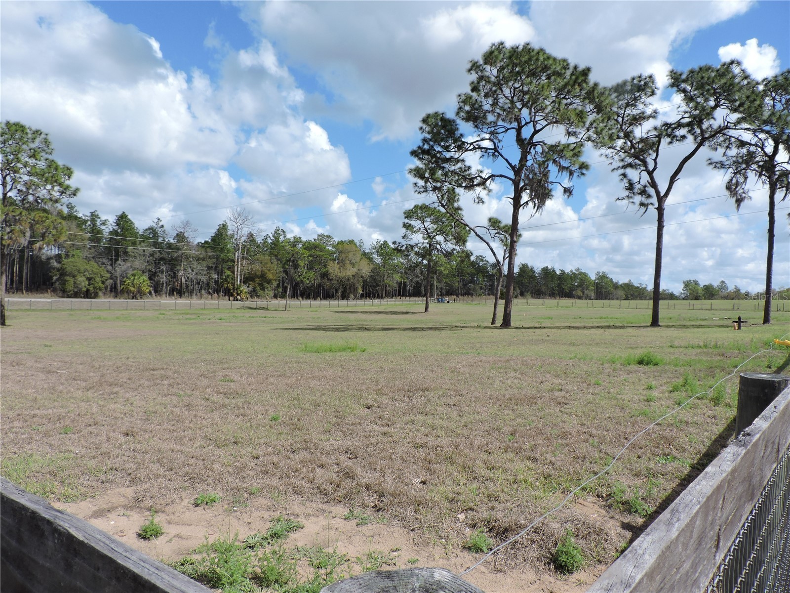 28448 Wildlife Lane Brooksville FL 34602 W7884670 image19