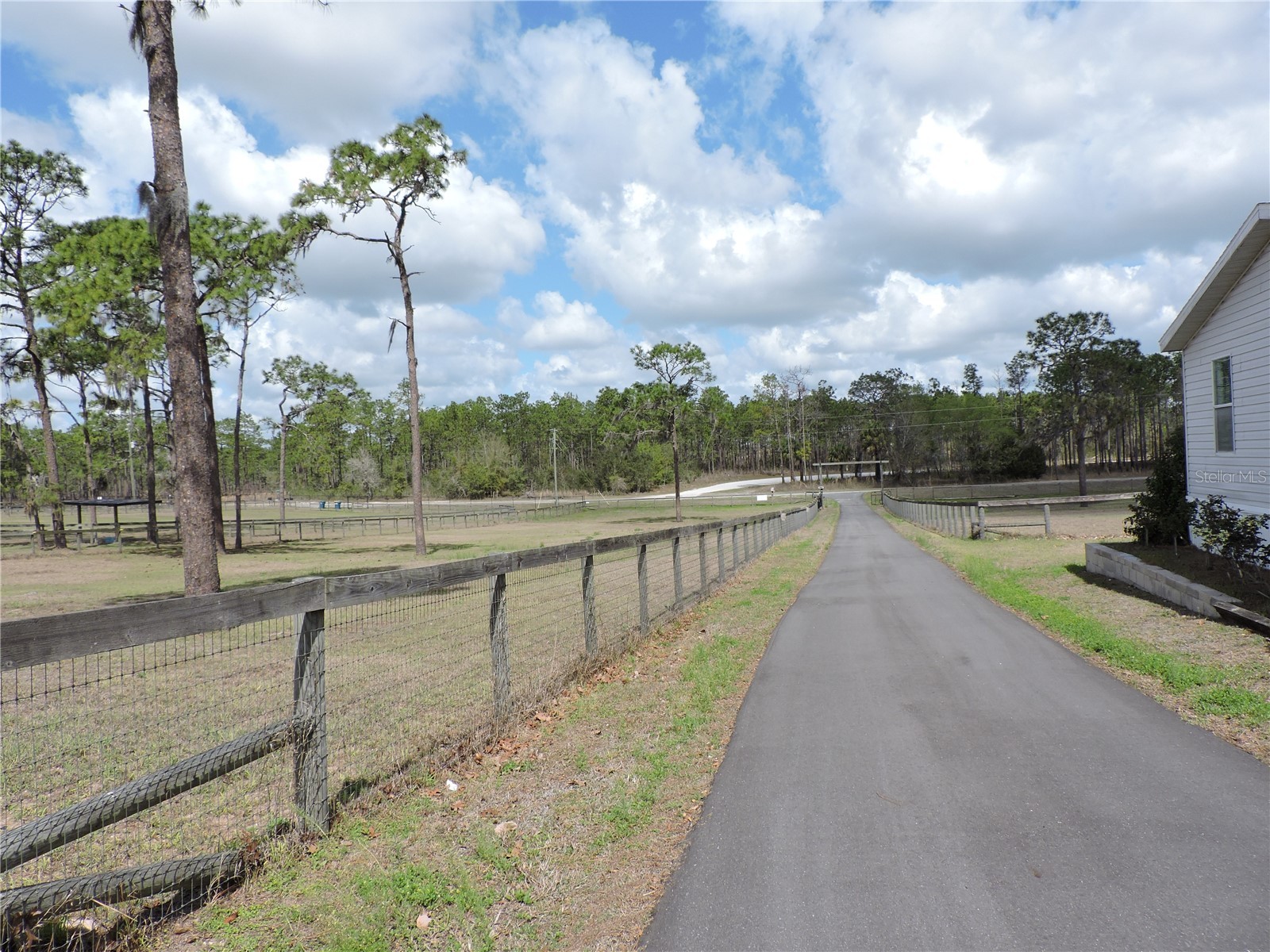28448 Wildlife Lane Brooksville FL 34602 W7884670 image5