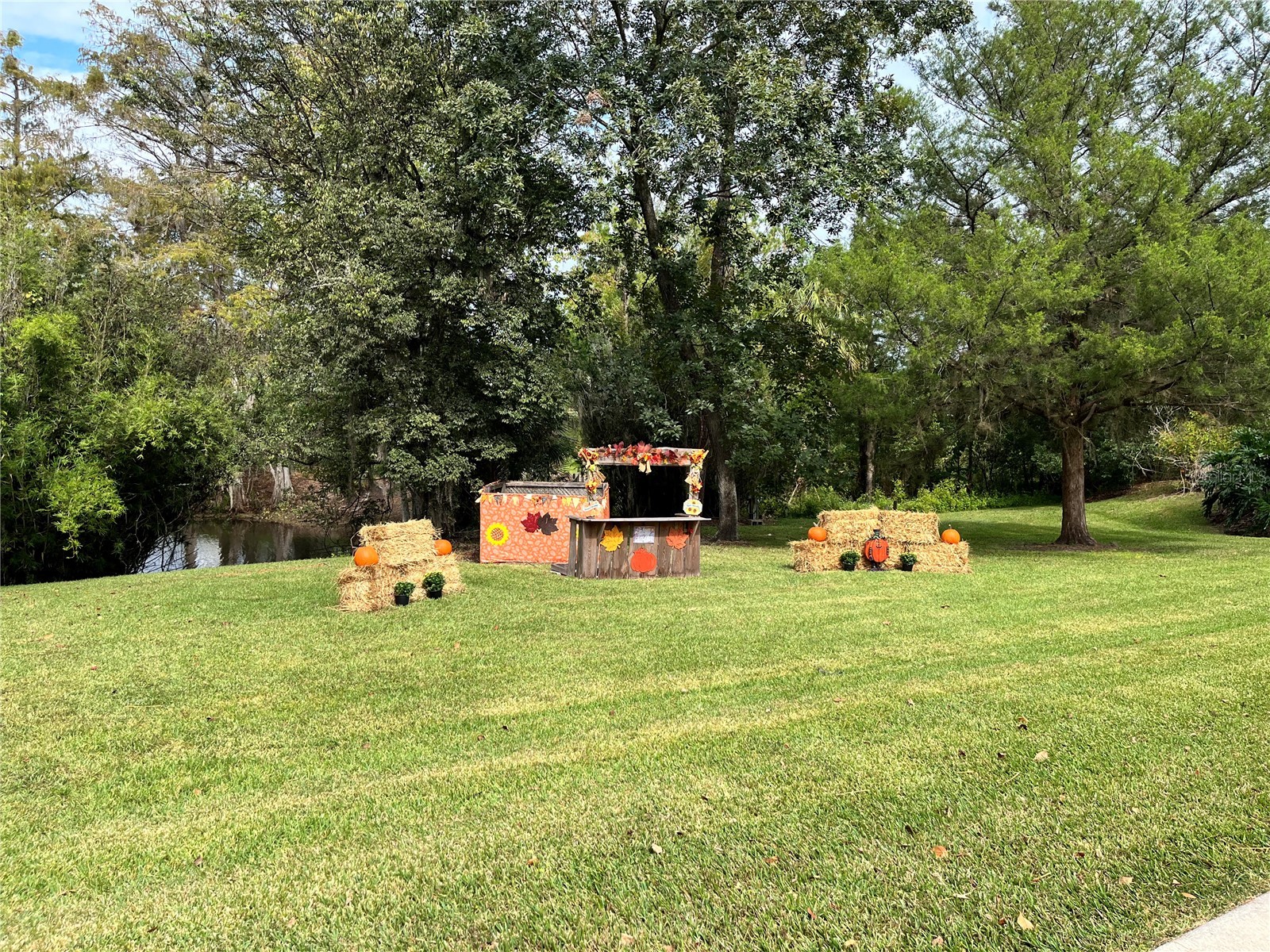 2845 NE 104th Avenue Silver Springs FL 34488 - OCKLAWAHA O6373141 image38