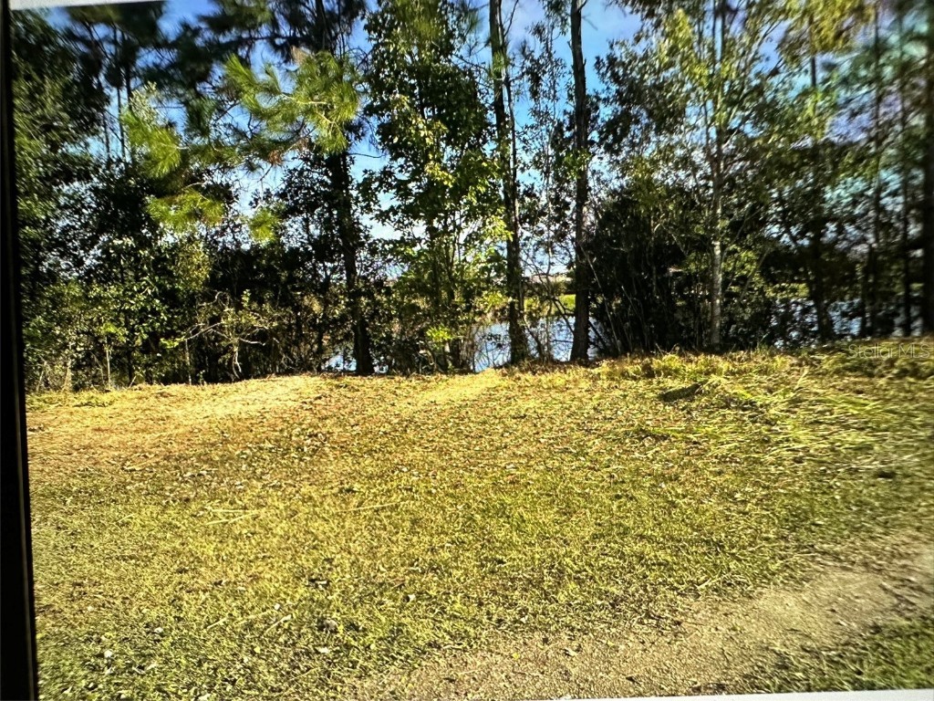 2845 Old Hickory Tree Road Saint Cloud FL 34772 O6349081 image4