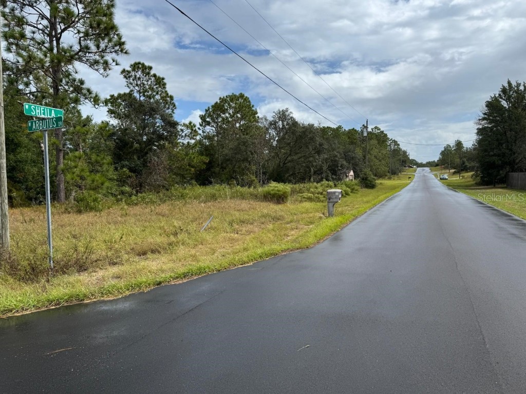 2845 W Sheila Drive Citrus Springs FL 34433 O6365208 image5