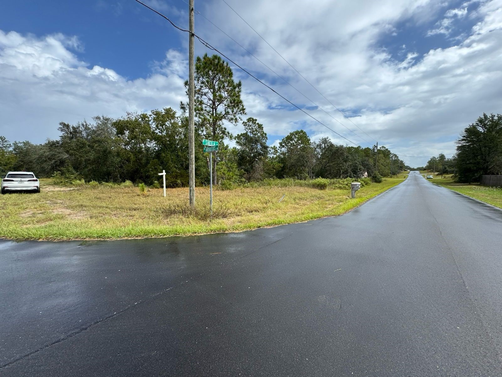 2845 W Sheila Drive Citrus Springs FL 34433 O6384767 image2