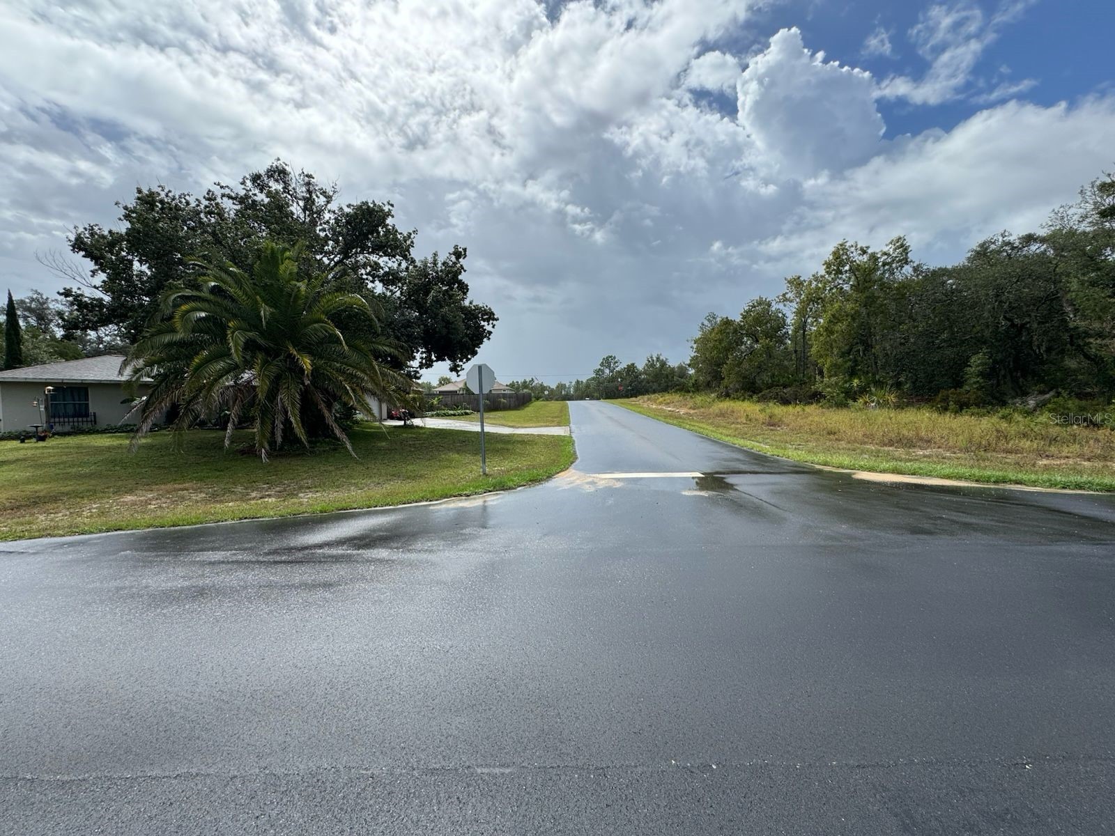 2845 W Sheila Drive Citrus Springs FL 34433 O6384767 image4