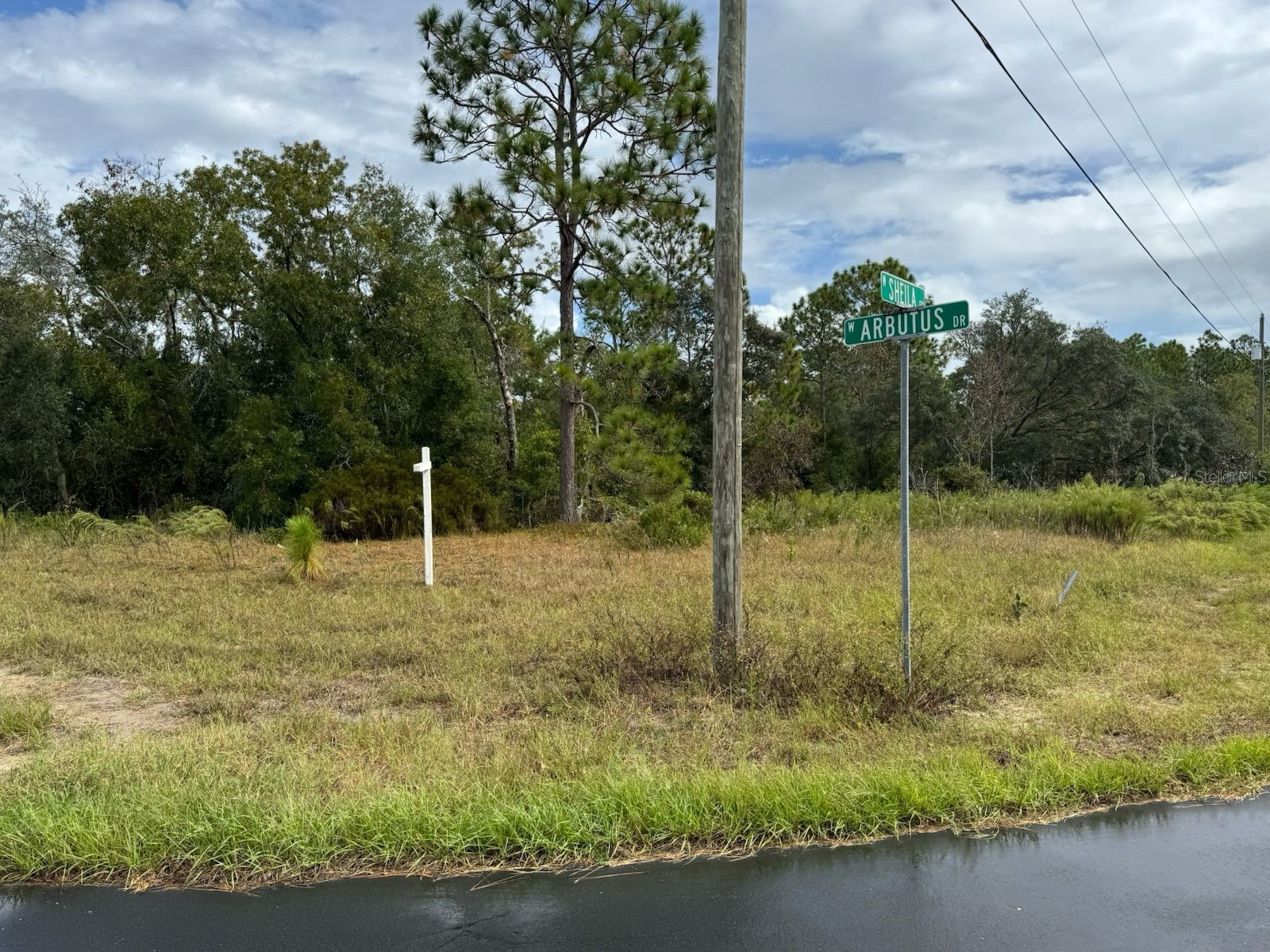 2845 W Sheila Drive Citrus Springs FL 34433 O6384767 image5