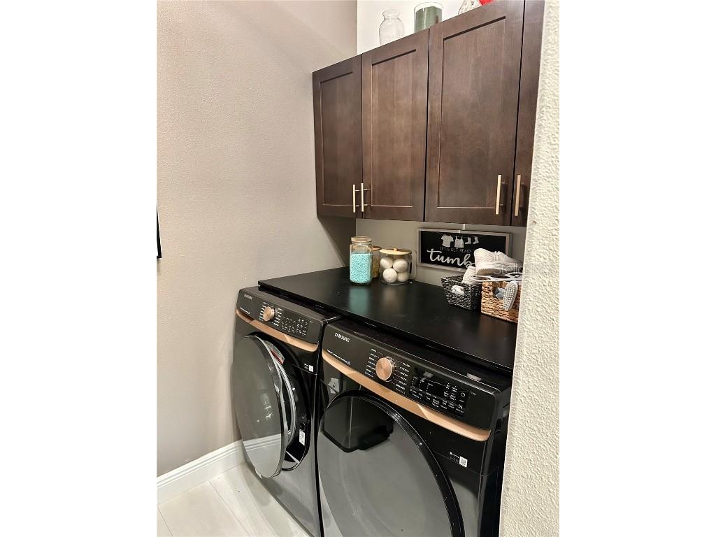 28450 Tranquil Lake Circle Wesley Chapel FL 33543 TB8457370 image10