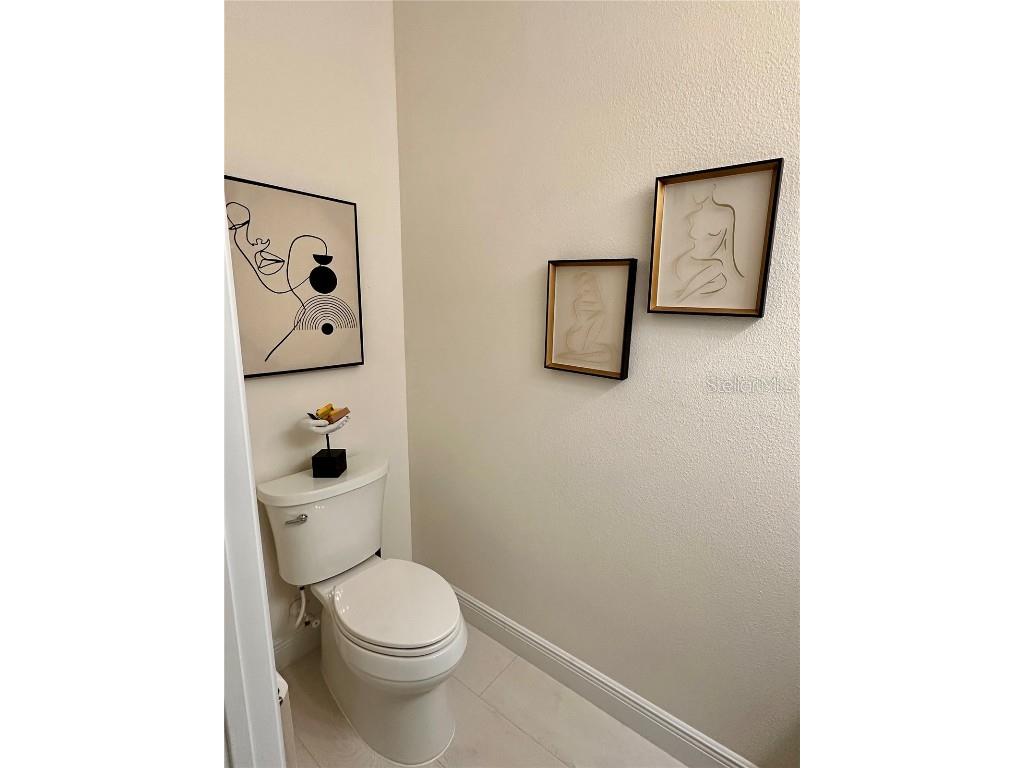 28450 Tranquil Lake Circle Wesley Chapel FL 33543 TB8457370 image11