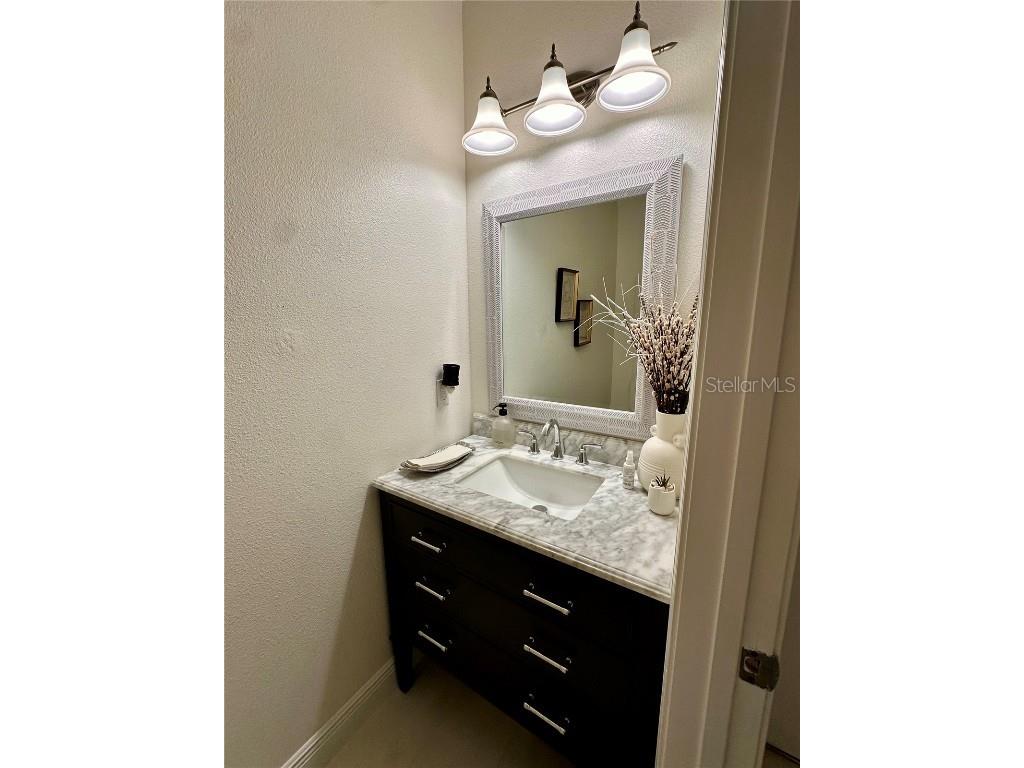 28450 Tranquil Lake Circle Wesley Chapel FL 33543 TB8457370 image12