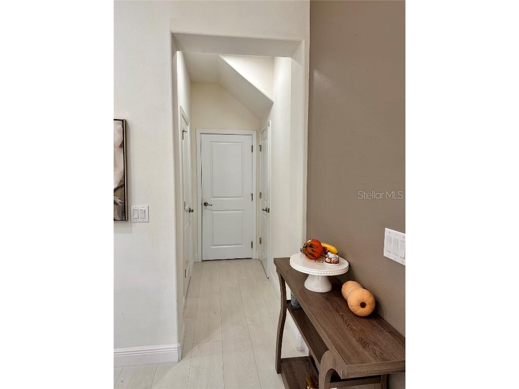 28450 Tranquil Lake Circle Wesley Chapel FL 33543 TB8457370 image13