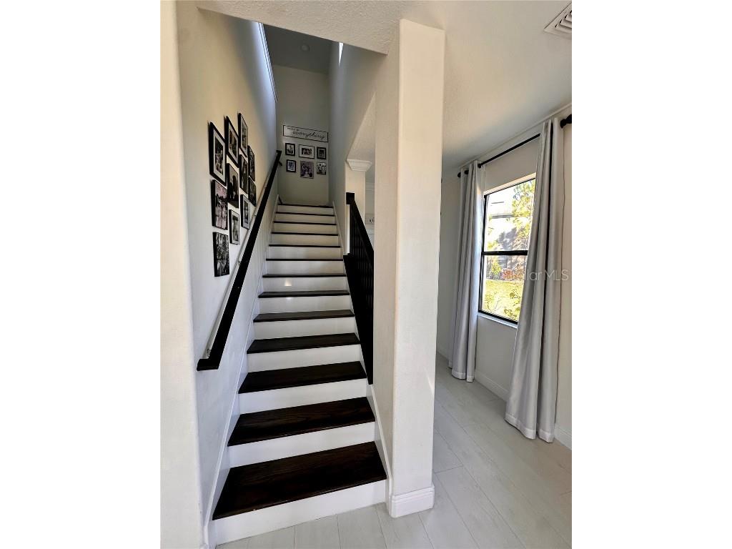 28450 Tranquil Lake Circle Wesley Chapel FL 33543 TB8457370 image14