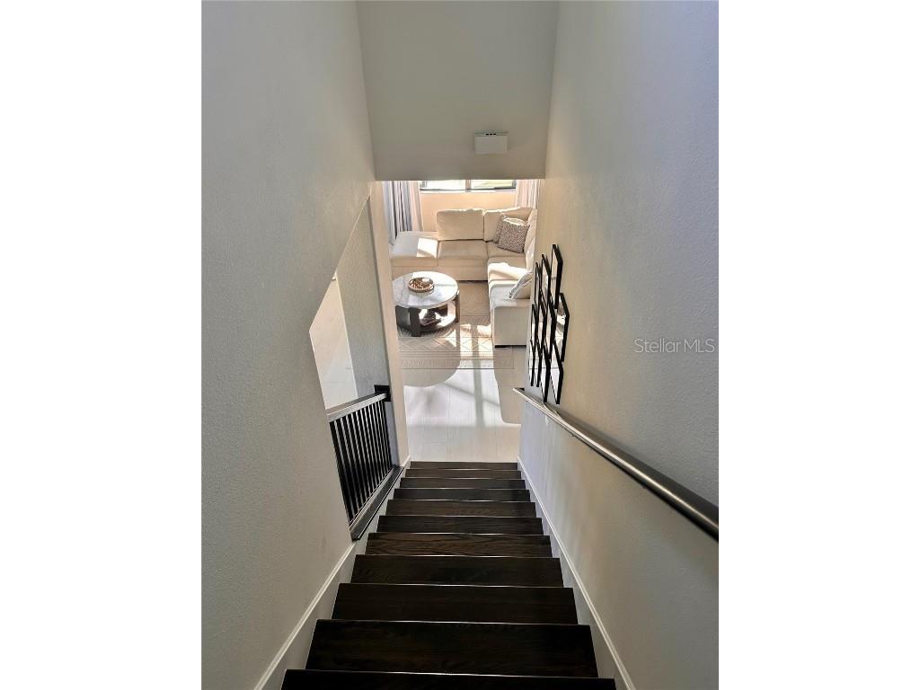 28450 Tranquil Lake Circle Wesley Chapel FL 33543 TB8457370 image15