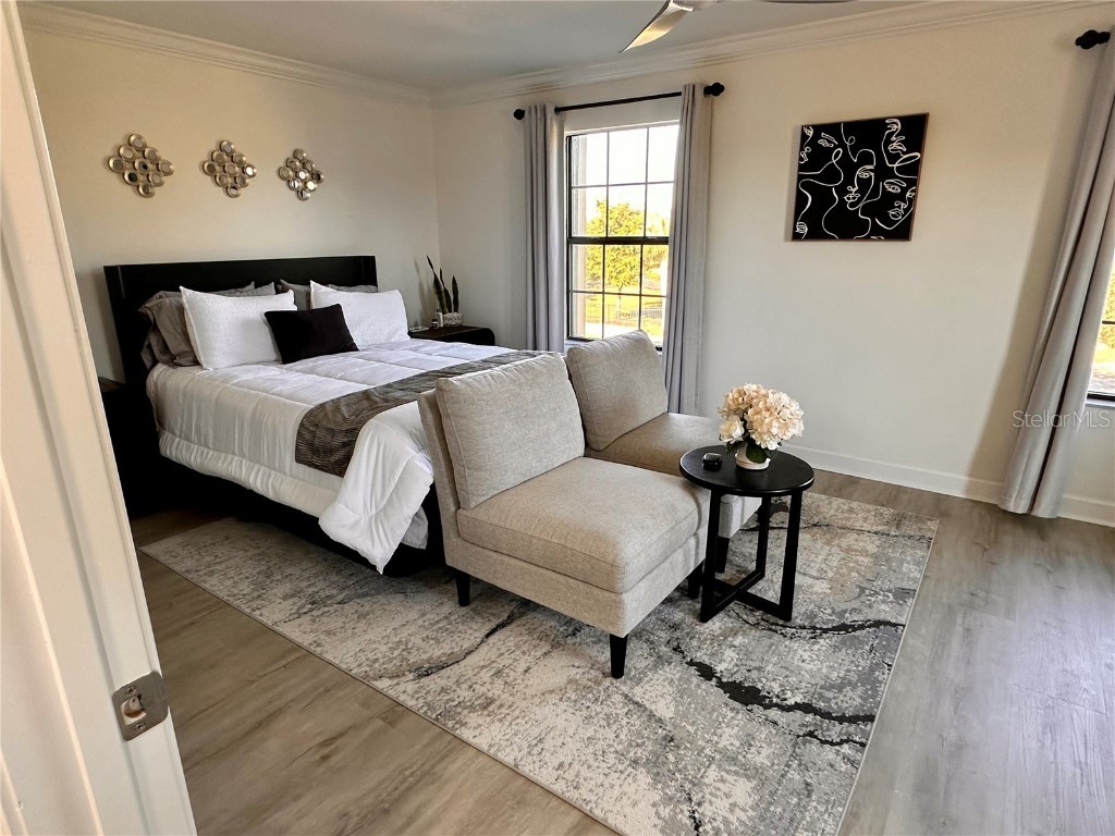 28450 Tranquil Lake Circle Wesley Chapel FL 33543 TB8457370 image16