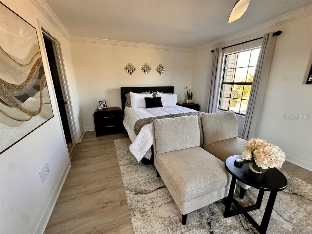 28450 Tranquil Lake Circle Wesley Chapel FL 33543 TB8457370 image17