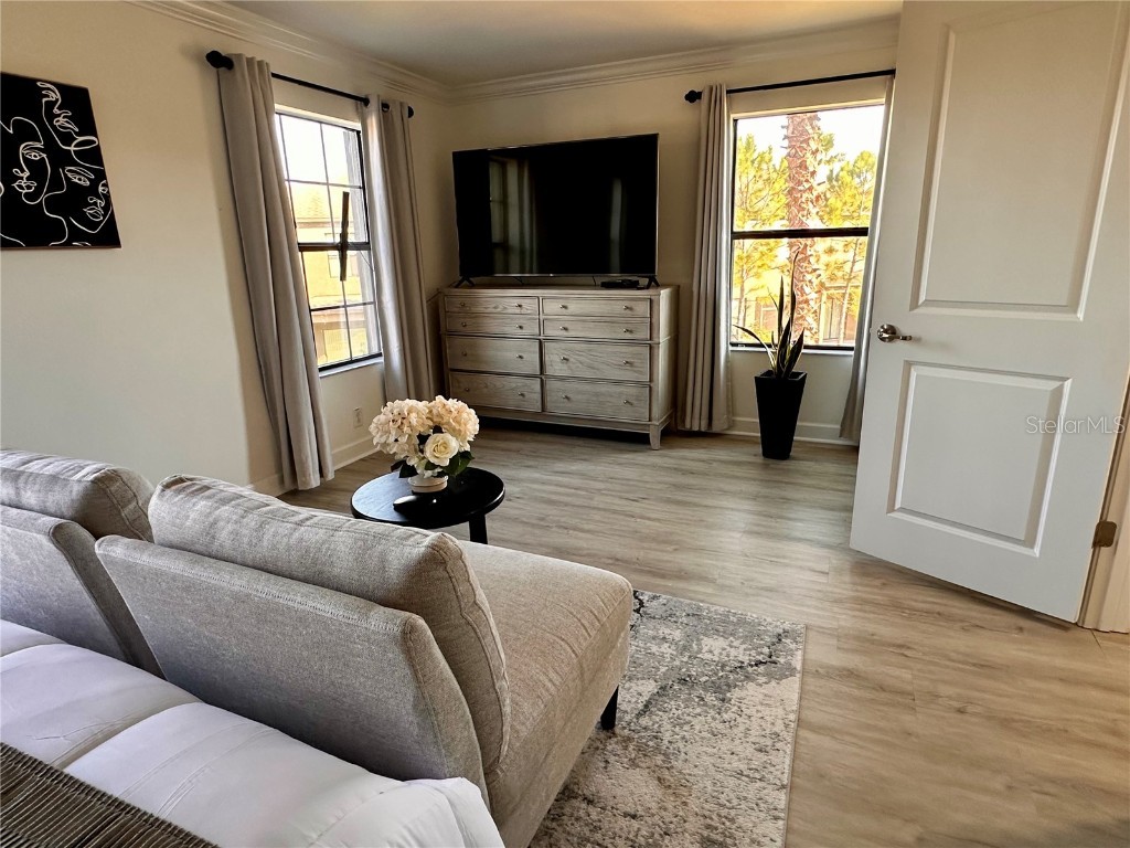 28450 Tranquil Lake Circle Wesley Chapel FL 33543 TB8457370 image18