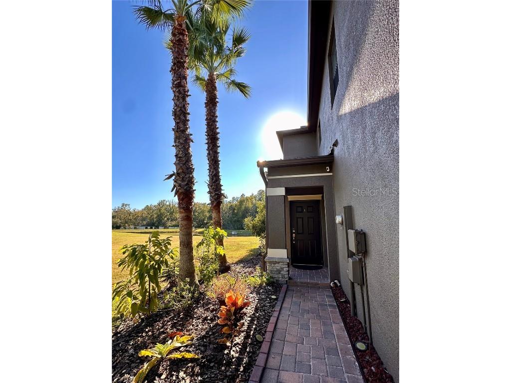 28450 Tranquil Lake Circle Wesley Chapel FL 33543 TB8457370 image2