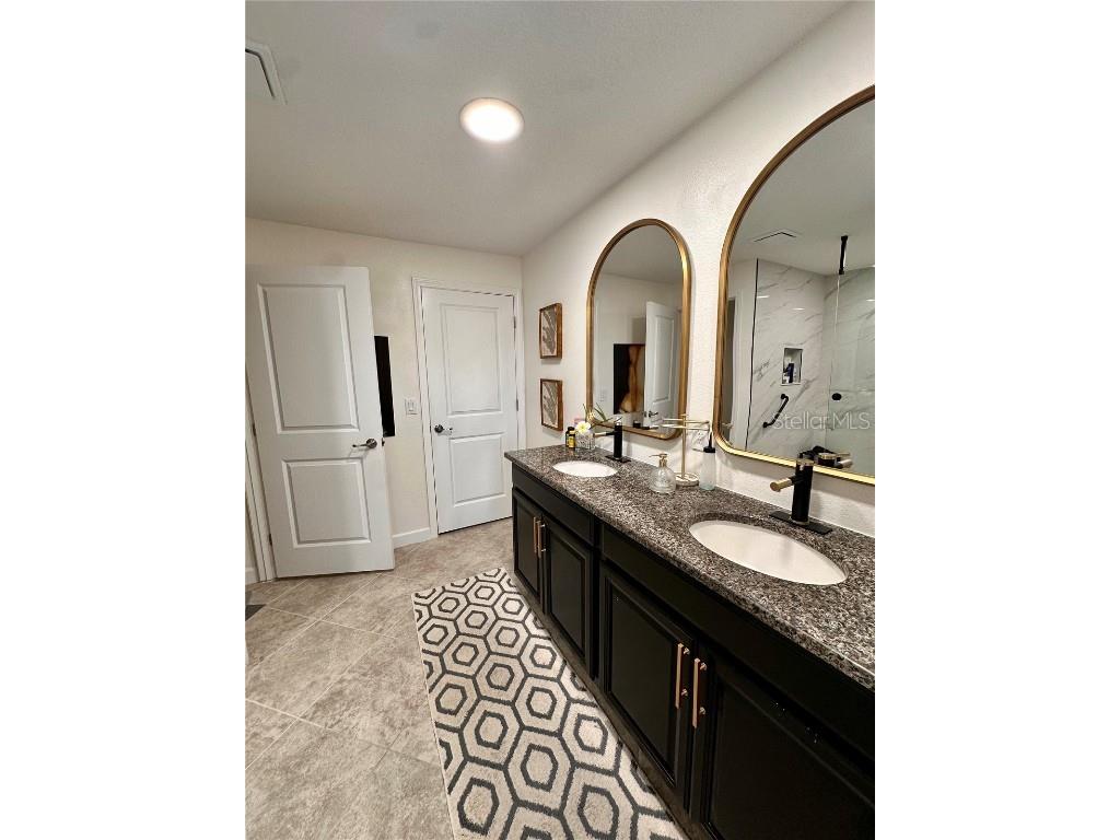 28450 Tranquil Lake Circle Wesley Chapel FL 33543 TB8457370 image21