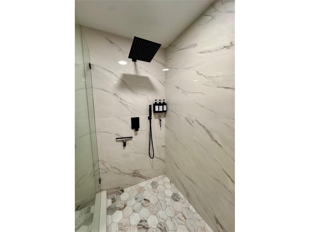 28450 Tranquil Lake Circle Wesley Chapel FL 33543 TB8457370 image22