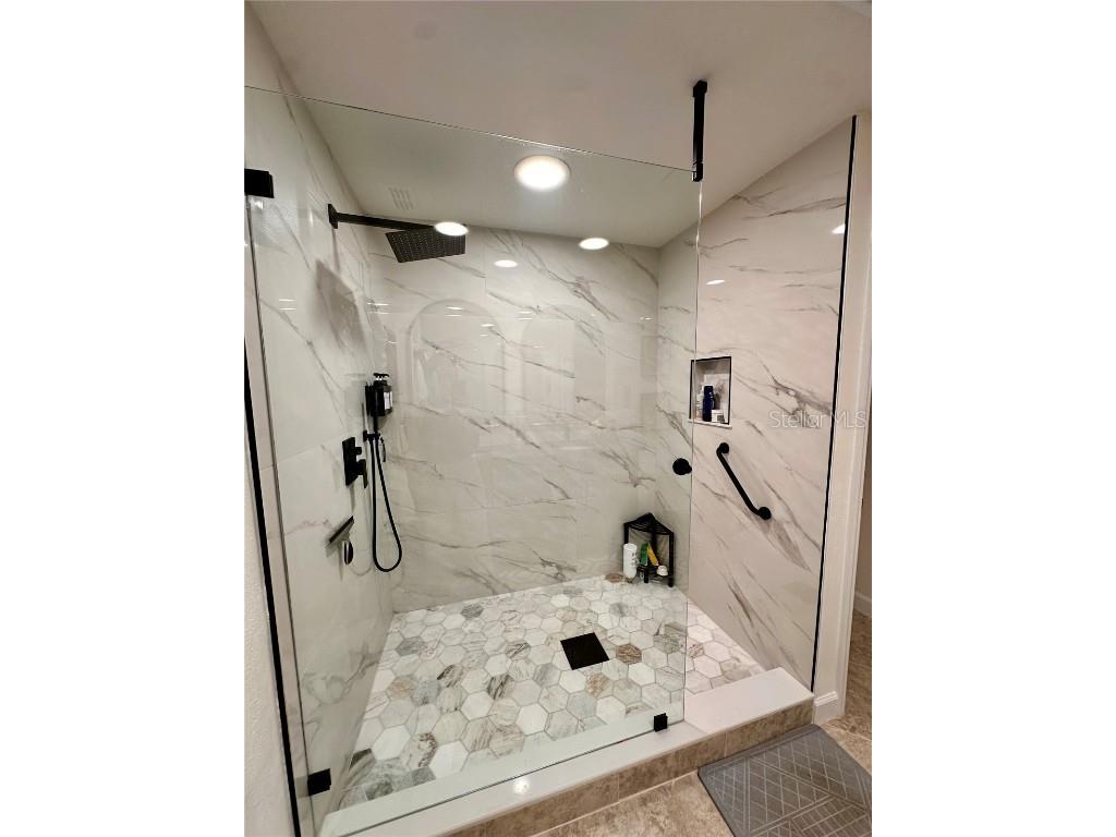 28450 Tranquil Lake Circle Wesley Chapel FL 33543 TB8457370 image23