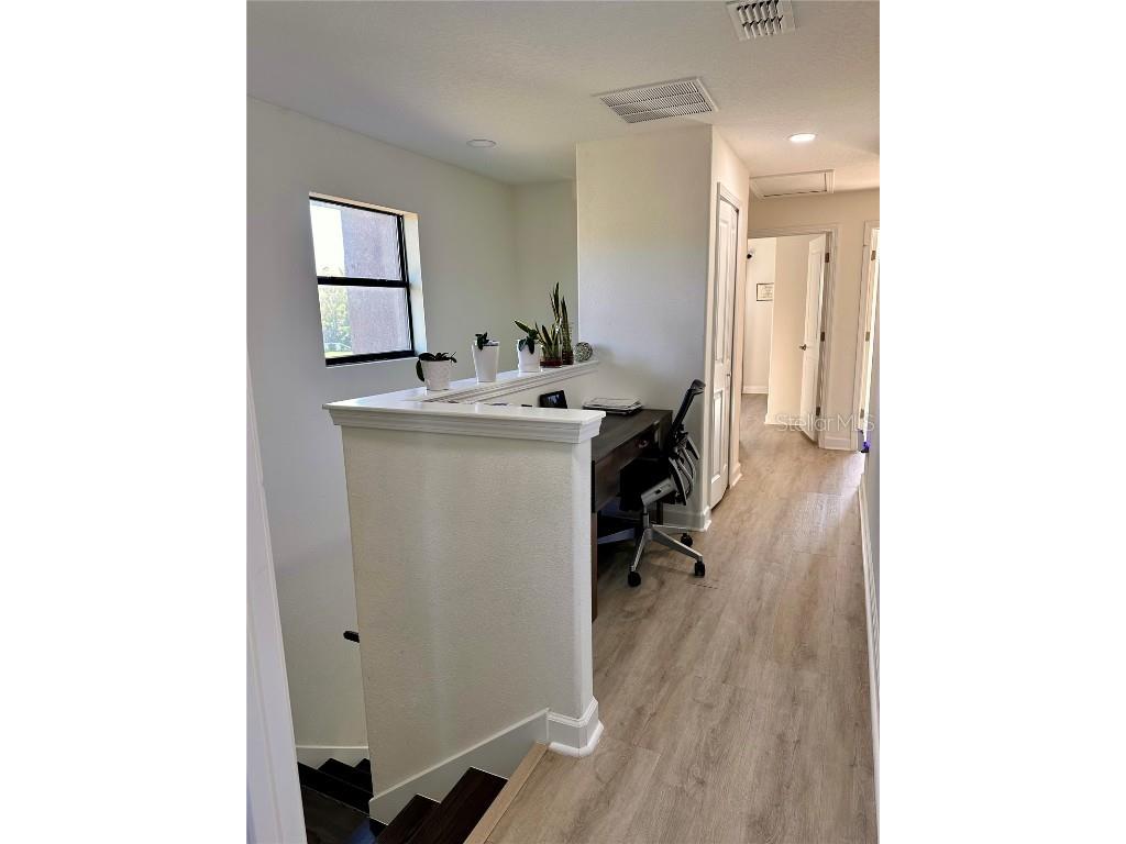 28450 Tranquil Lake Circle Wesley Chapel FL 33543 TB8457370 image24