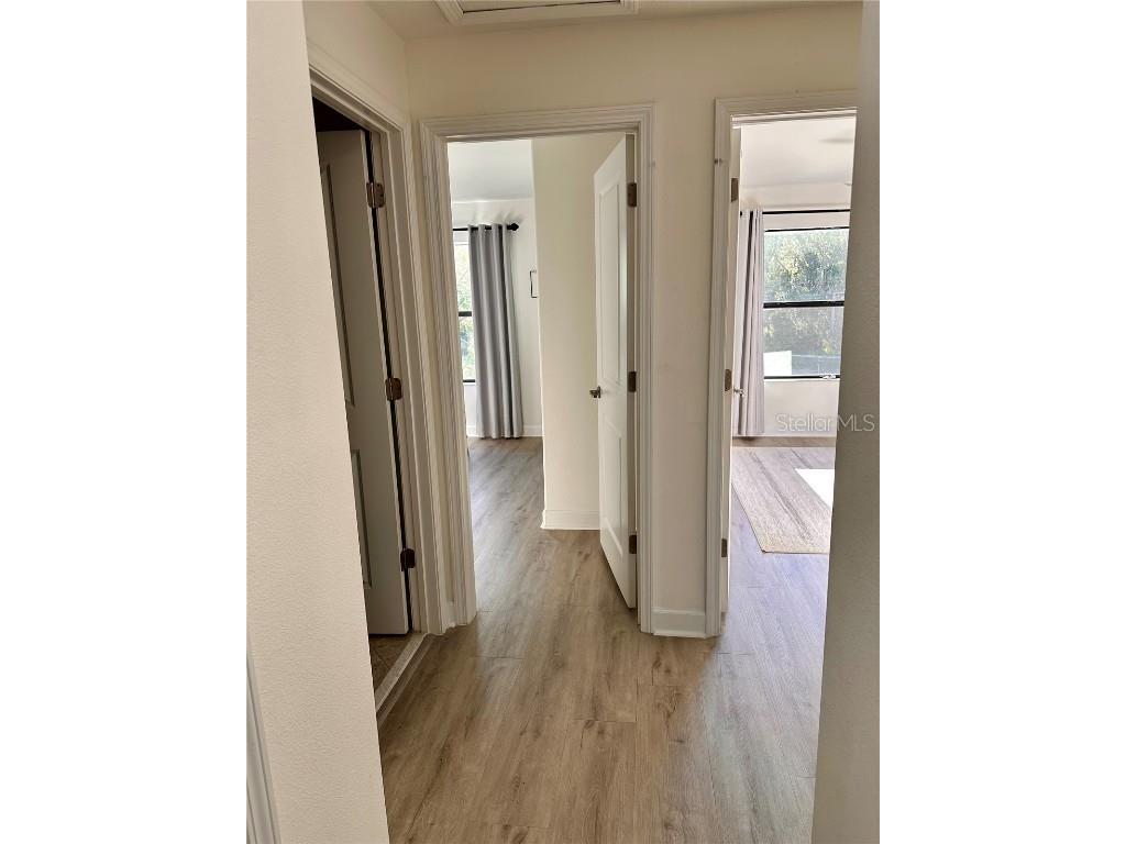 28450 Tranquil Lake Circle Wesley Chapel FL 33543 TB8457370 image25