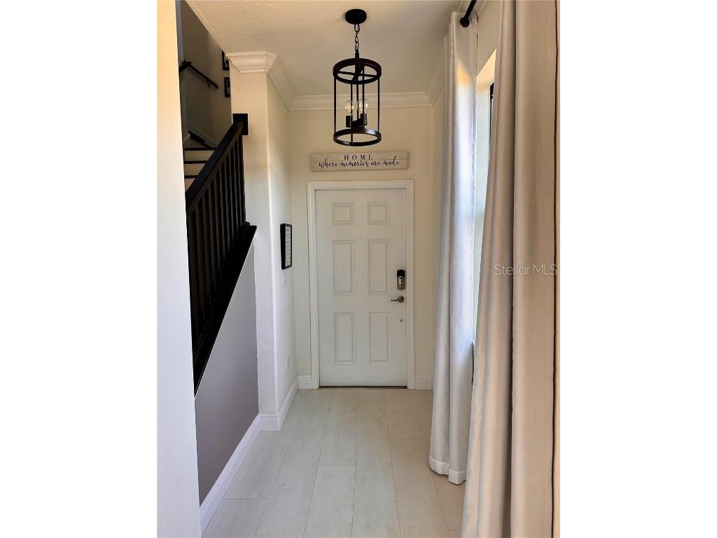 28450 Tranquil Lake Circle Wesley Chapel FL 33543 TB8457370 image3