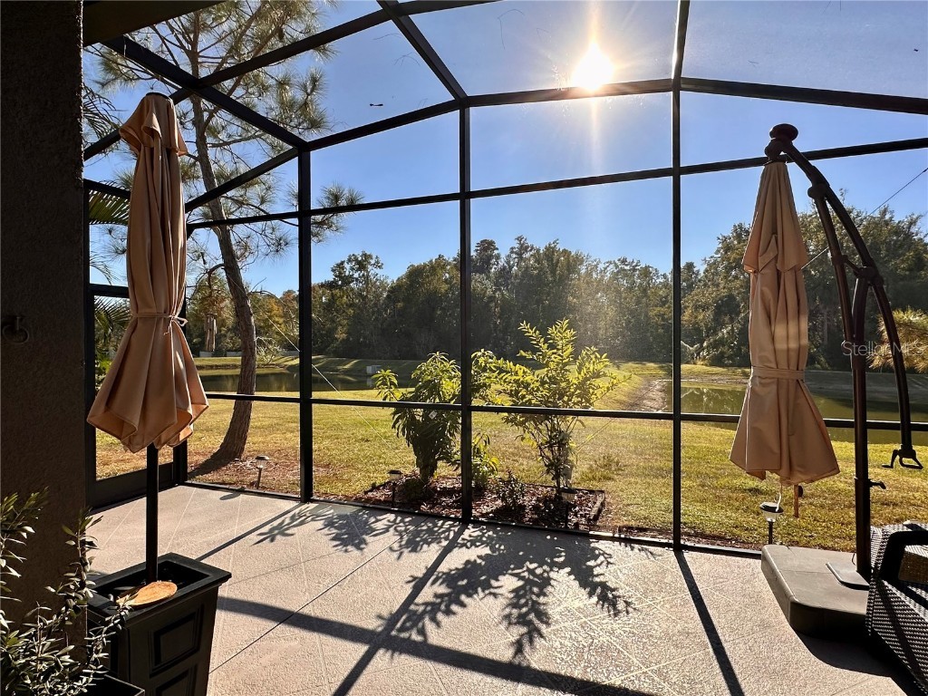 28450 Tranquil Lake Circle Wesley Chapel FL 33543 TB8457370 image32