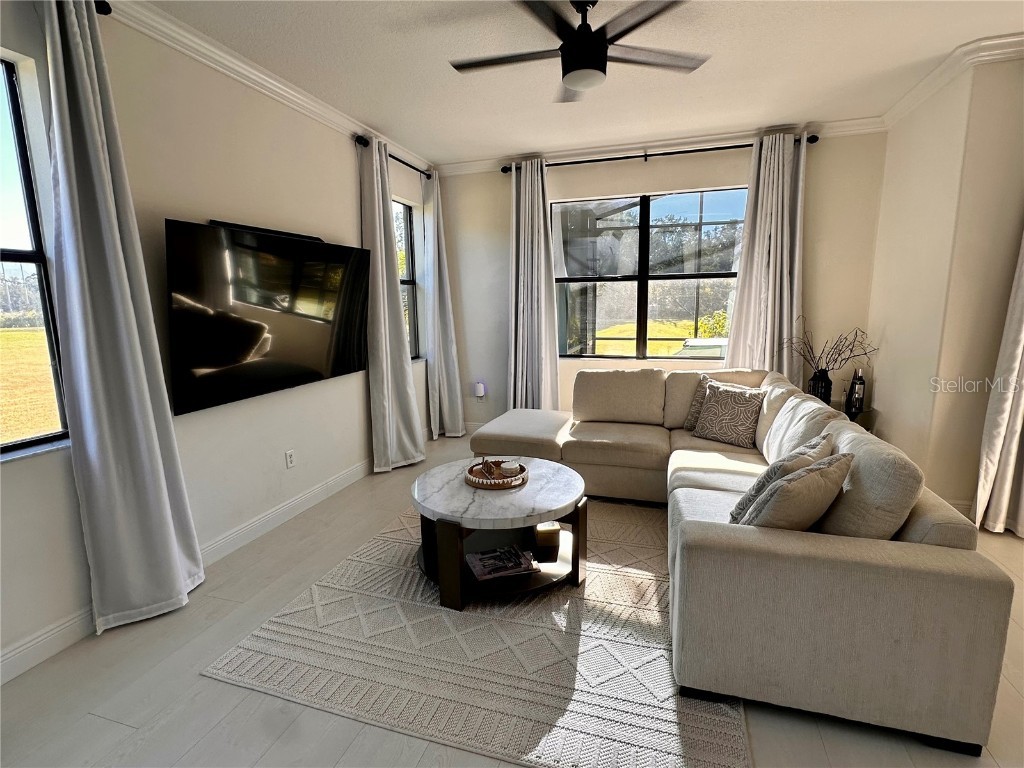 28450 Tranquil Lake Circle Wesley Chapel FL 33543 TB8457370 image4