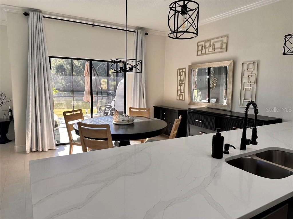 28450 Tranquil Lake Circle Wesley Chapel FL 33543 TB8457370 image5