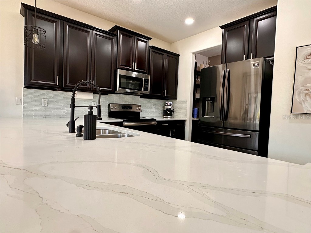 28450 Tranquil Lake Circle Wesley Chapel FL 33543 TB8457370 image7