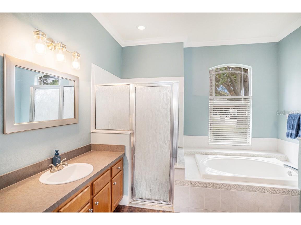 2846 Duncan Tree Circle Valrico FL 33594 TB8453693 image23