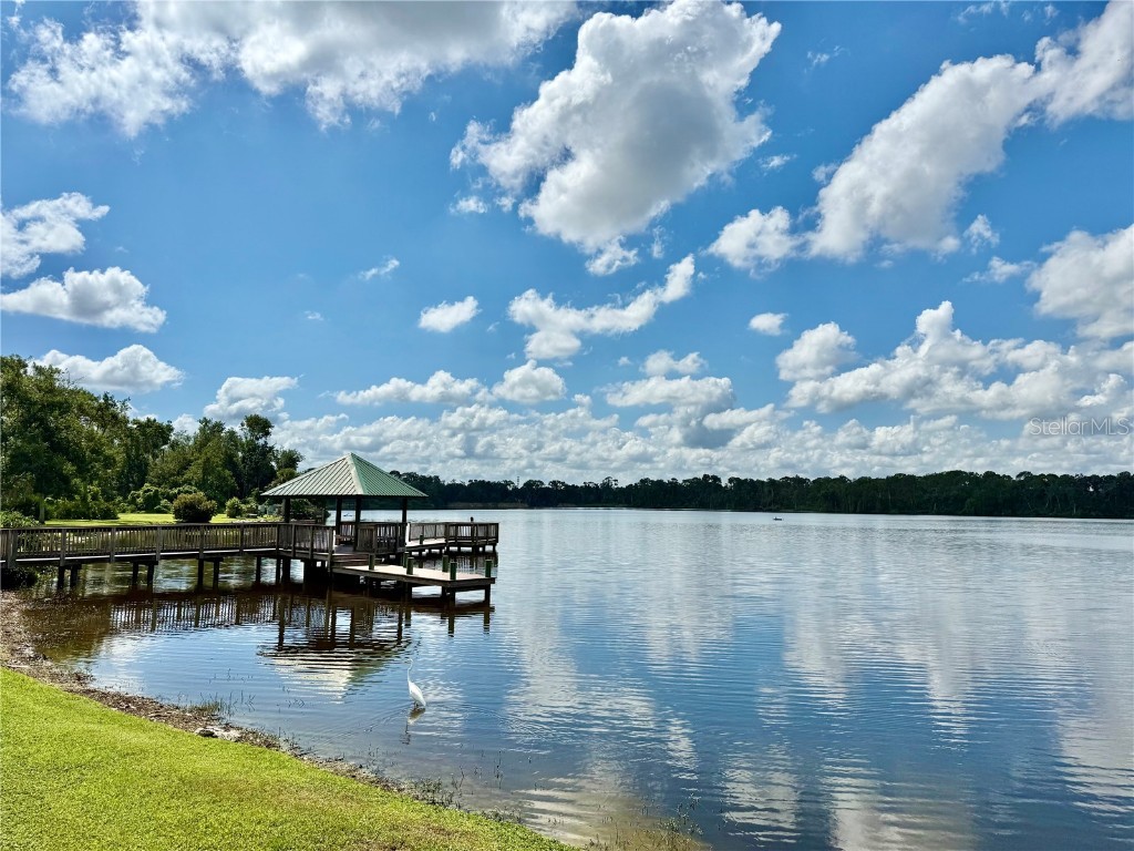 2846 Hammock Drive Plant City FL 33566 O6340131 image67