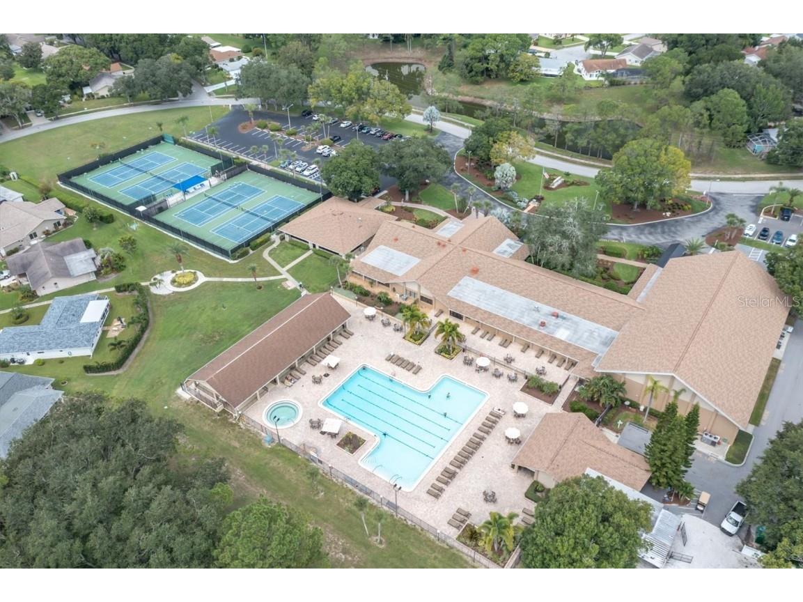 2846 Highlands Boulevard #D Palm Harbor FL 34684 TB8438449 image31