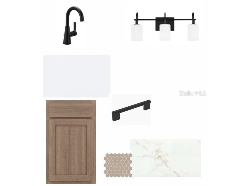 2846 Soleta View Odessa FL 33556 TB8514505 image5